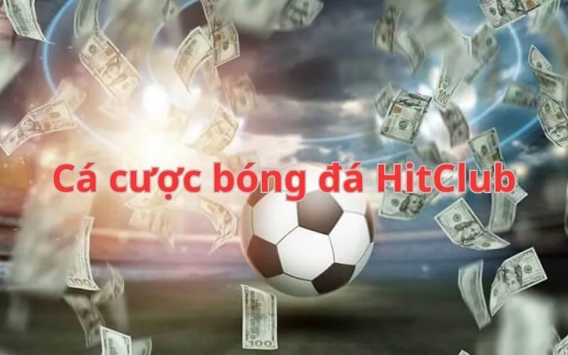 Giới thiệu sảnh bóng đá HitClub